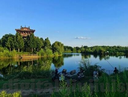 麻豆经纪app-麻豆经纪app，数字时代的艺术新职阶