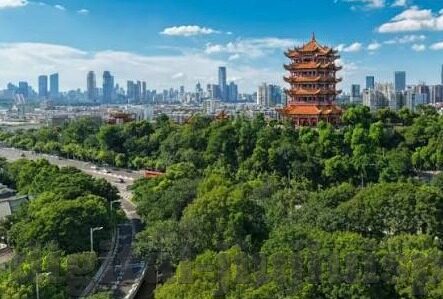 麻豆专区av-为影视创作与教育视角探索，麻豆专区AV的艺术与争议