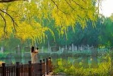 糖心vlog传媒下载-糖心vlog传媒下载，家庭的欢乐新选择