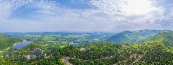 一区二区-区域发展的双轨探索，一区二区的协同与差异